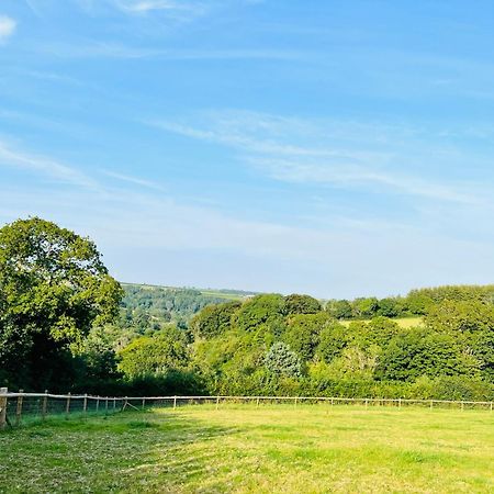 1 Bedroom Holiday Let In The Heart Of West Wales Carmarthen Bagian luar foto