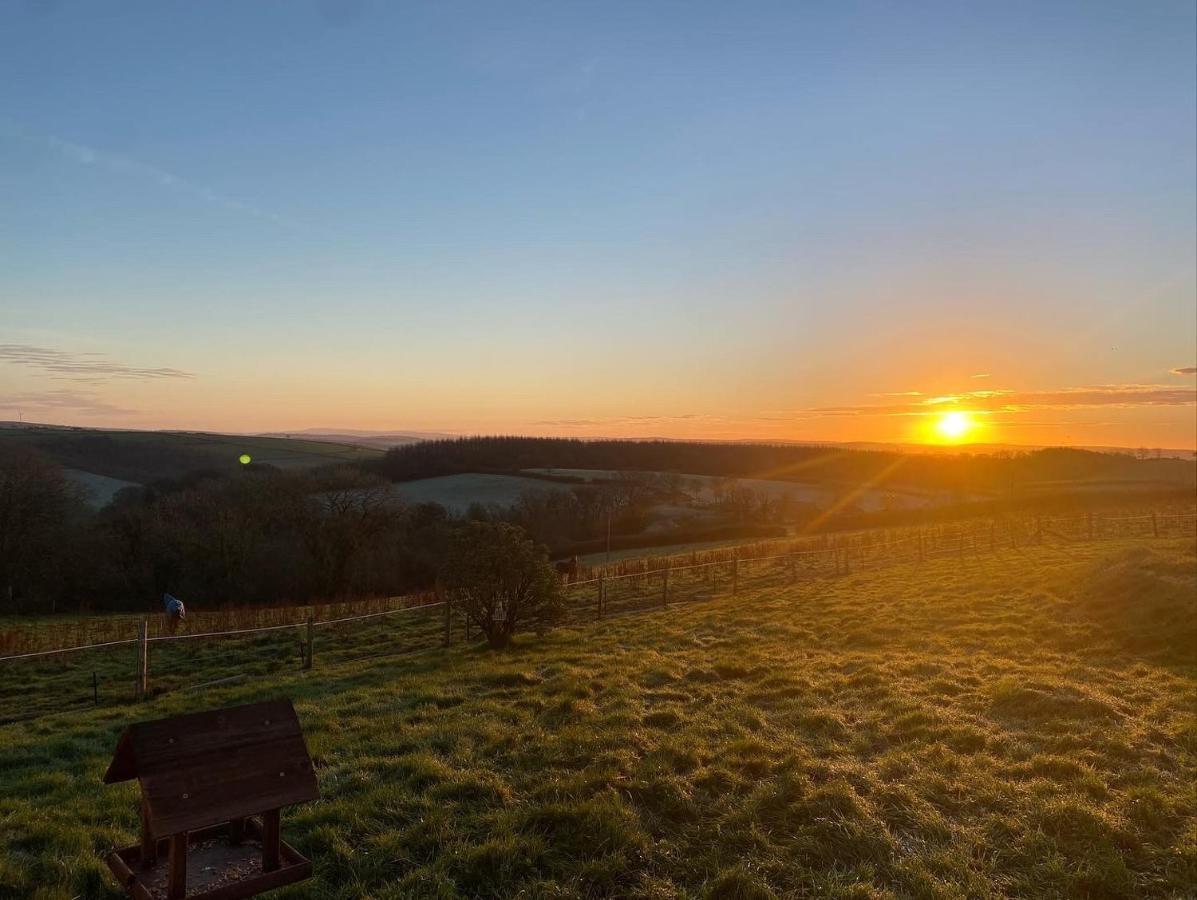 1 Bedroom Holiday Let In The Heart Of West Wales Carmarthen Bagian luar foto